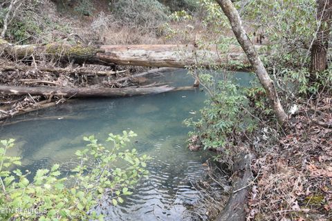 Tiny photo for 566 William Branch Rd, Lancing, TN 37770 (MLS # 1328928)