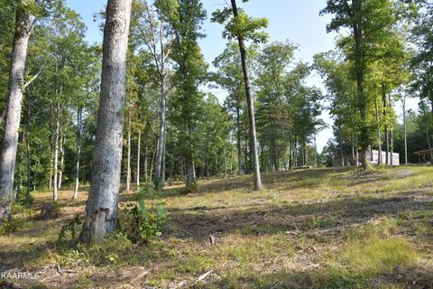 Tiny photo for 566 William Branch Rd, Lancing, TN 37770 (MLS # 1328928)