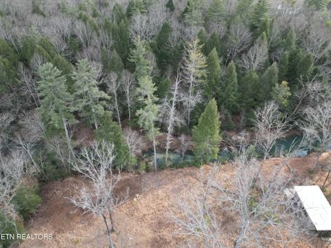 Tiny photo for 566 William Branch Rd, Lancing, TN 37770 (MLS # 1328928)