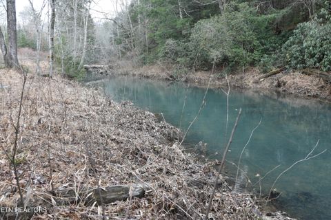 Tiny photo for 566 William Branch Rd, Lancing, TN 37770 (MLS # 1328928)