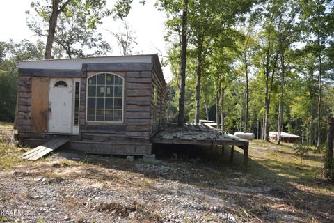 Tiny photo for 566 William Branch Rd, Lancing, TN 37770 (MLS # 1328928)
