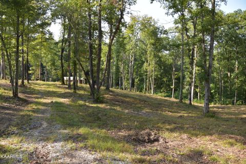 Tiny photo for 566 William Branch Rd, Lancing, TN 37770 (MLS # 1328928)
