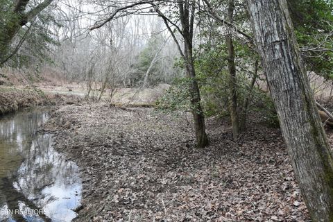 Tiny photo for 566 William Branch Rd, Lancing, TN 37770 (MLS # 1328928)