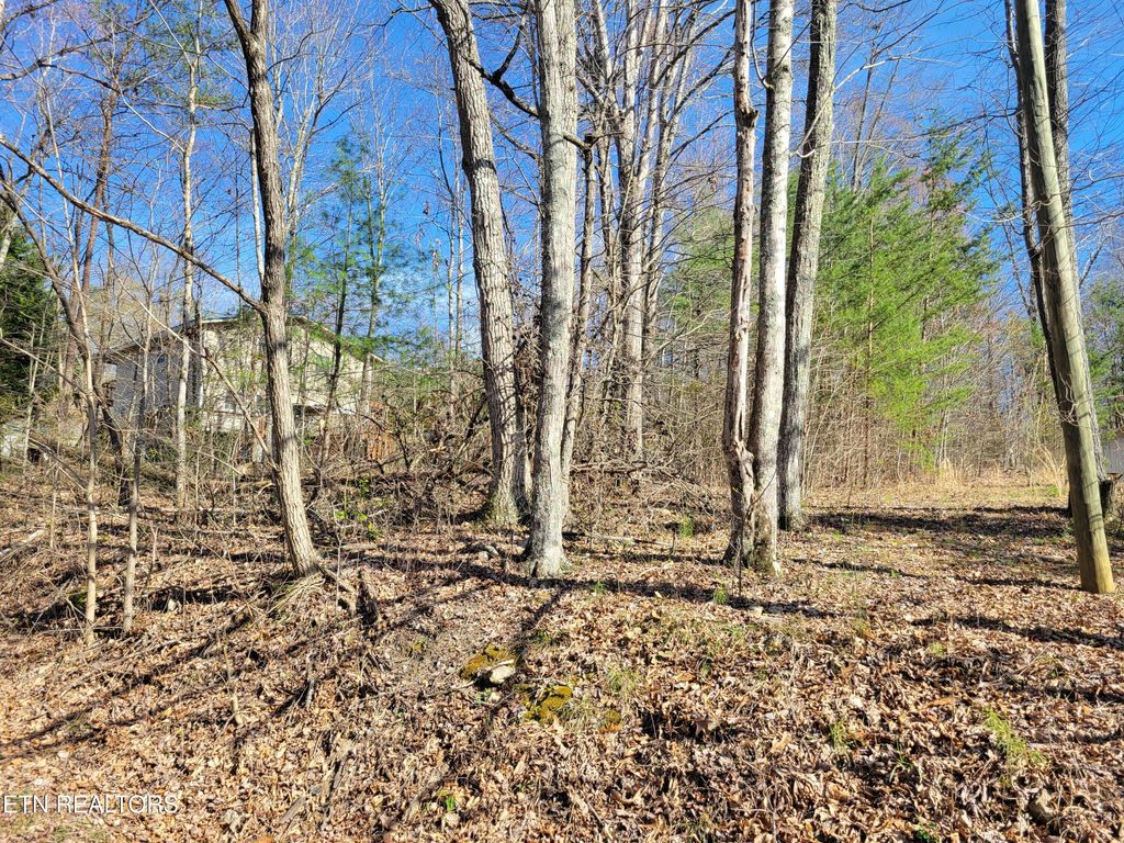 Photo of 69 Alpine Drive, Sevierville, TN 37876 (MLS # 1339739)
