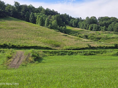 Tiny photo for Caney Valley 07 & 08 Rd, Sneedville, TN 37869 (MLS # 1348839)