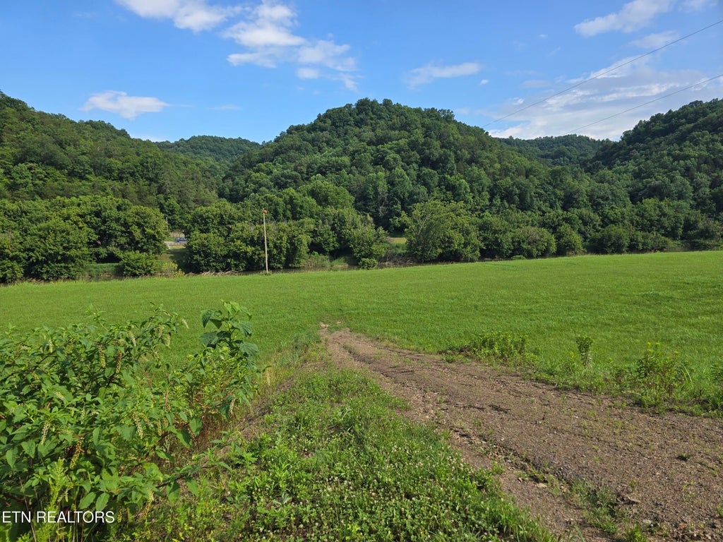 Photo of Caney Valley 07 & 08 Rd, Sneedville, TN 37869 (MLS # 1348839)