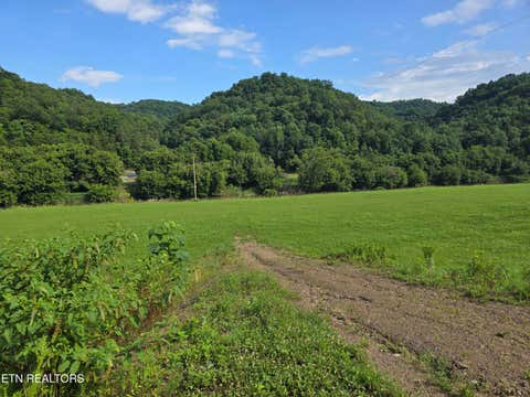 Tiny photo for Caney Valley 07 & 08 Rd, Sneedville, TN 37869 (MLS # 1348839)