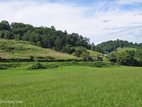 Tiny photo for Caney Valley 07 & 08 Rd, Sneedville, TN 37869 (MLS # 1348839)