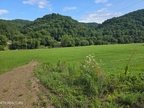 Tiny photo for Caney Valley 07 & 08 Rd, Sneedville, TN 37869 (MLS # 1348839)