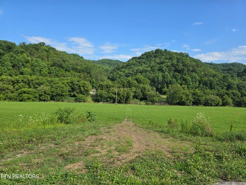 Tiny photo for Caney Valley 07 & 08 Rd, Sneedville, TN 37869 (MLS # 1348839)