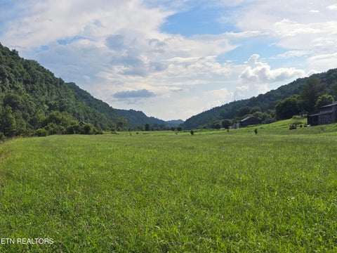 Tiny photo for Caney Valley 07 & 08 Rd, Sneedville, TN 37869 (MLS # 1348839)