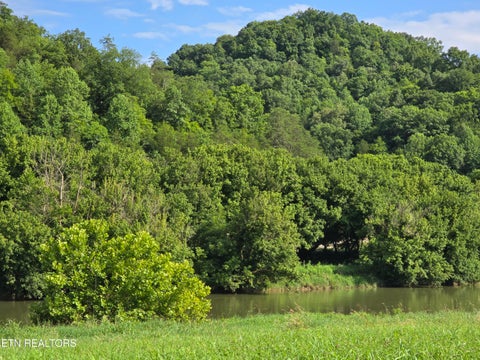 Tiny photo for Caney Valley 07 & 08 Rd, Sneedville, TN 37869 (MLS # 1348839)