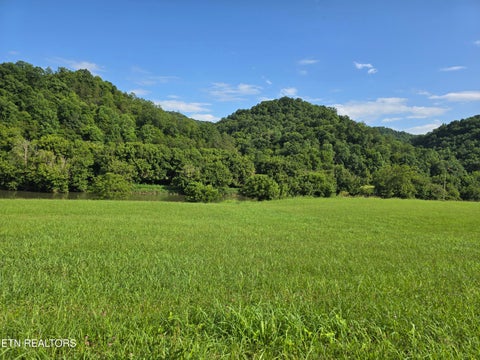 Tiny photo for Caney Valley 07 & 08 Rd, Sneedville, TN 37869 (MLS # 1348839)