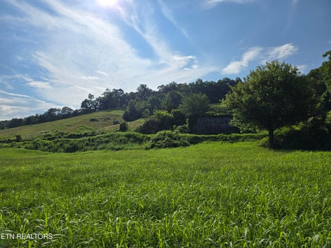 Tiny photo for Caney Valley 07 & 08 Rd, Sneedville, TN 37869 (MLS # 1348839)