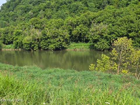 Tiny photo for Caney Valley 07 & 08 Rd, Sneedville, TN 37869 (MLS # 1348839)