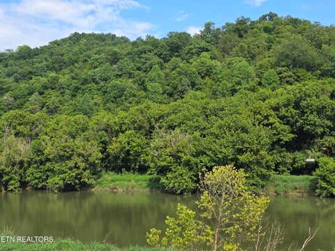 Tiny photo for Caney Valley 07 & 08 Rd, Sneedville, TN 37869 (MLS # 1348839)