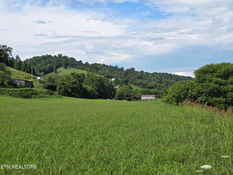 Tiny photo for Caney Valley 07 & 08 Rd, Sneedville, TN 37869 (MLS # 1348839)