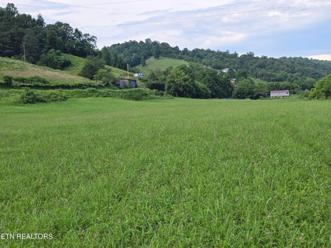 Tiny photo for Caney Valley 07 & 08 Rd, Sneedville, TN 37869 (MLS # 1348839)
