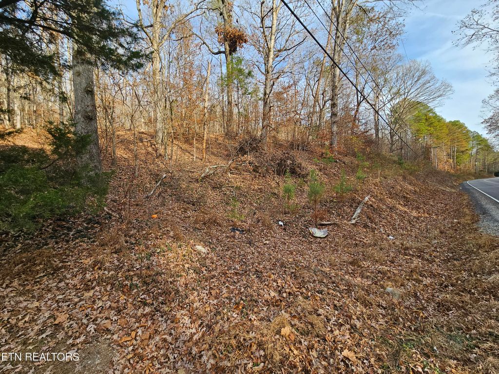 Photo of 7 Smyrna Rd, Evensville, TN 37332 (MLS # 1296230)