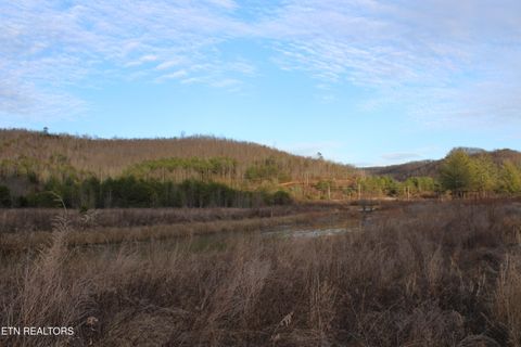 Tiny photo for Davis Creek Rd, Duff, TN 37729 (MLS # 1330104)