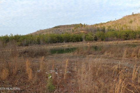 Tiny photo for Davis Creek Rd, Duff, TN 37729 (MLS # 1330104)