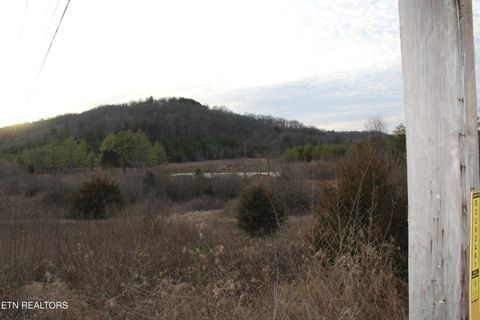 Tiny photo for Davis Creek Rd, Duff, TN 37729 (MLS # 1330104)