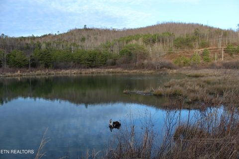 Tiny photo for Davis Creek Rd, Duff, TN 37729 (MLS # 1330104)