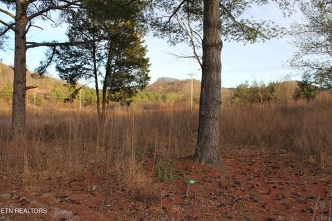 Tiny photo for Davis Creek Rd, Duff, TN 37729 (MLS # 1330104)
