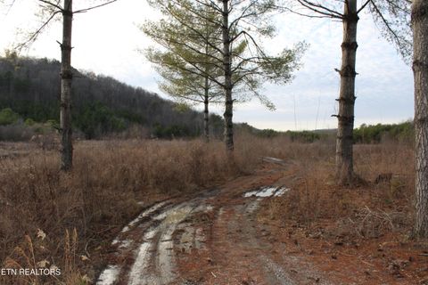 Tiny photo for Davis Creek Rd, Duff, TN 37729 (MLS # 1330104)