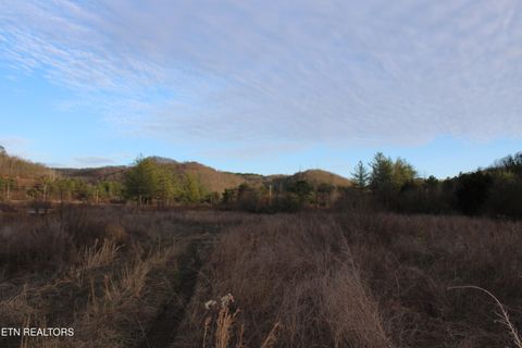 Tiny photo for Davis Creek Rd, Duff, TN 37729 (MLS # 1330104)