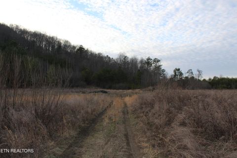 Tiny photo for Davis Creek Rd, Duff, TN 37729 (MLS # 1330104)
