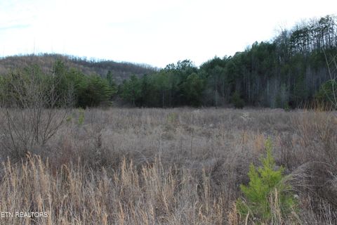 Tiny photo for Davis Creek Rd, Duff, TN 37729 (MLS # 1330104)