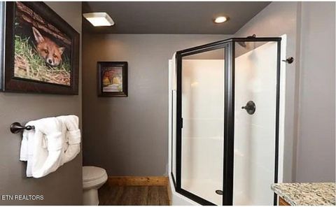 Tiny photo for 1204 Bianca Way, Gatlinburg, TN 37738 (MLS # 1333525)