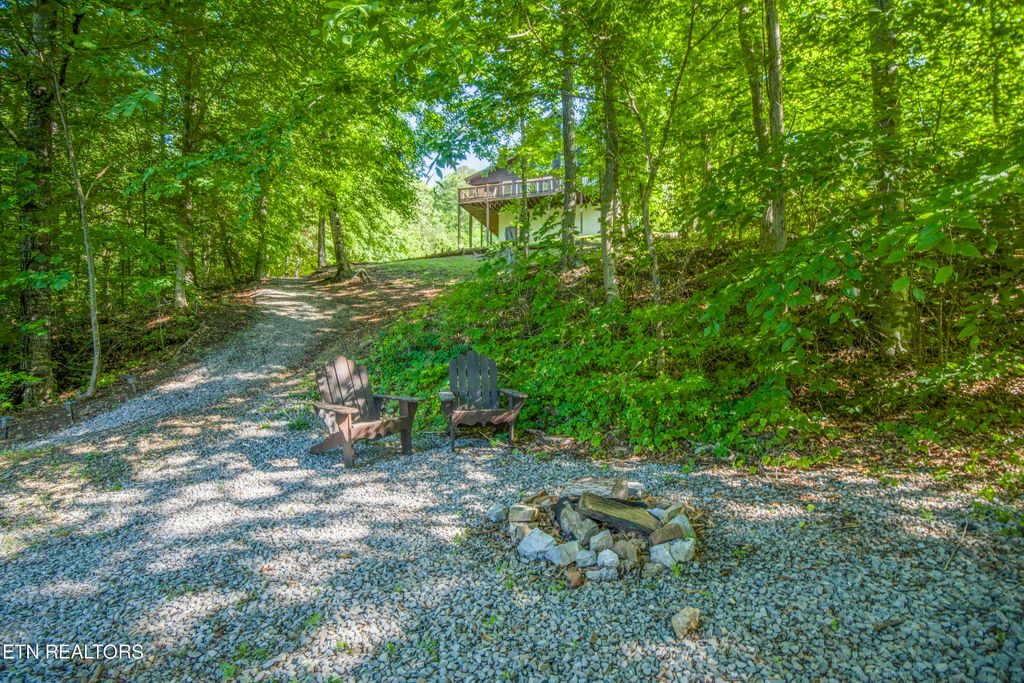 Photo of 609 Wildcat Hollow Rd, New Tazewell, TN 37825 (MLS # 1263859)