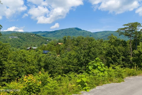 Photo of 40 Laughing Pine Lane, Sevierville, TN 37862 (MLS # 1346223)