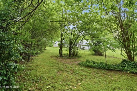 Tiny photo for 3113 Boright Drive, Knoxville, TN 37917 (MLS # 1339032)