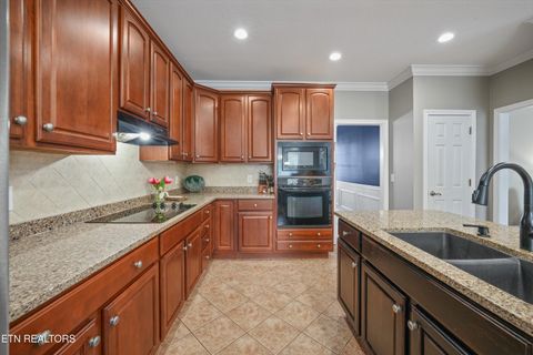 Tiny photo for 1108 Canvas Back Lane, Knoxville, TN 37922 (MLS # 1333774)