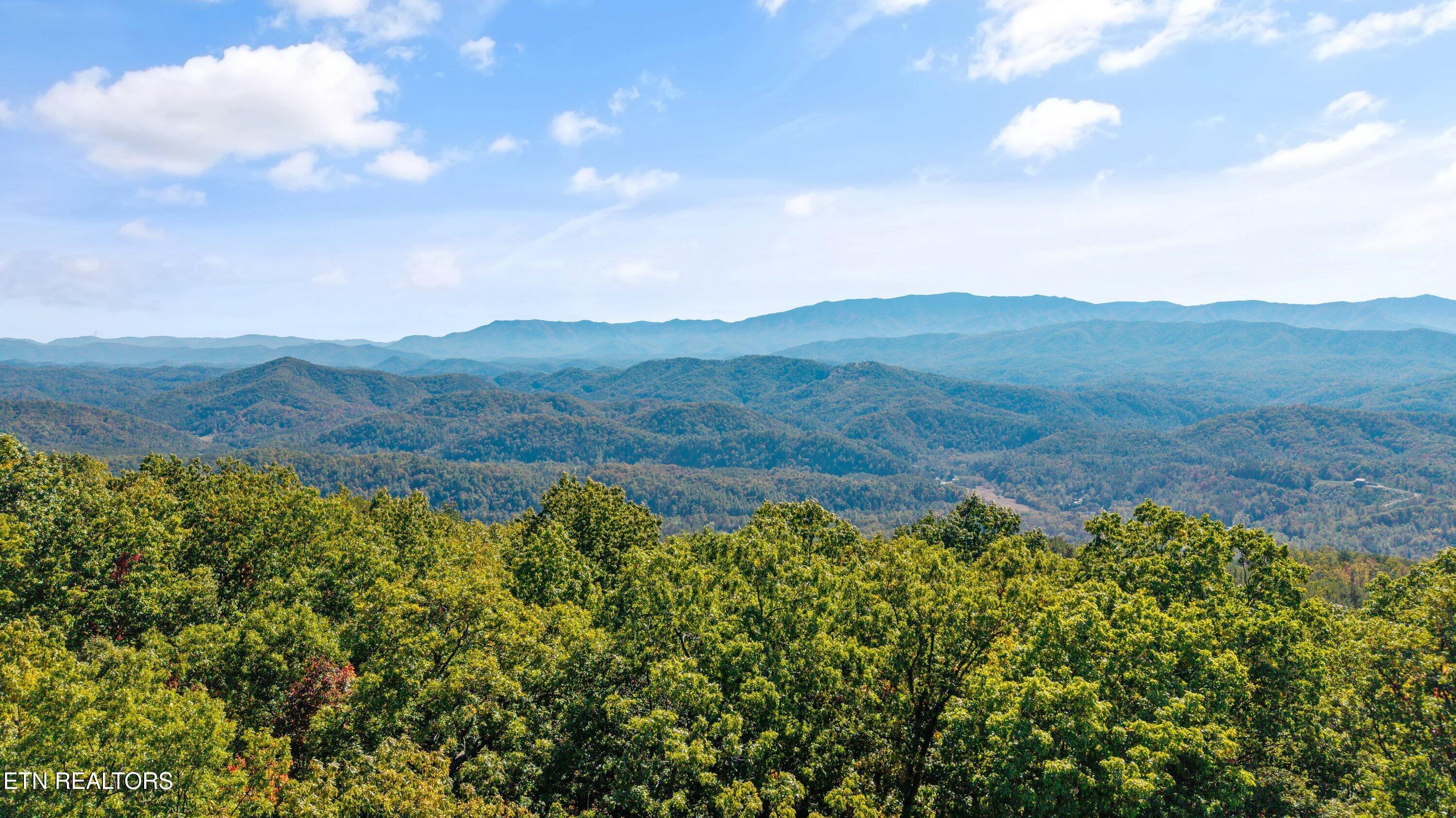 OFF SHARP ROAD/Shell Mountain