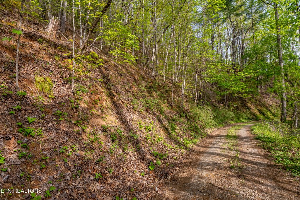 Photo of 240 Mt. Luke Rd, Townsend, TN 37882 (MLS # 1298994)