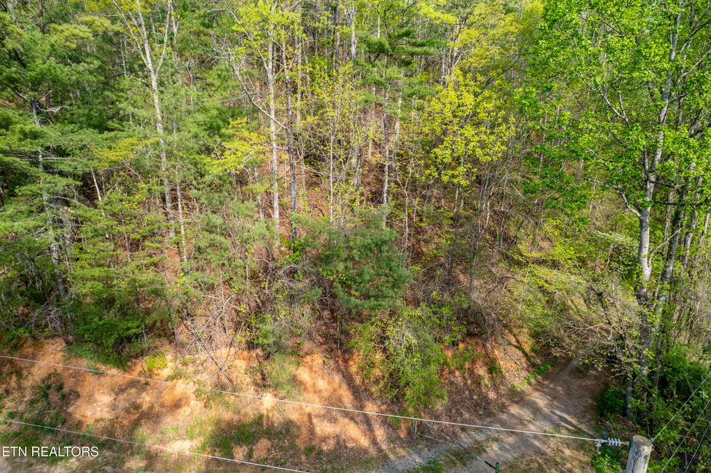Photo of 240 Mt. Luke Rd, Townsend, TN 37882 (MLS # 1298994)