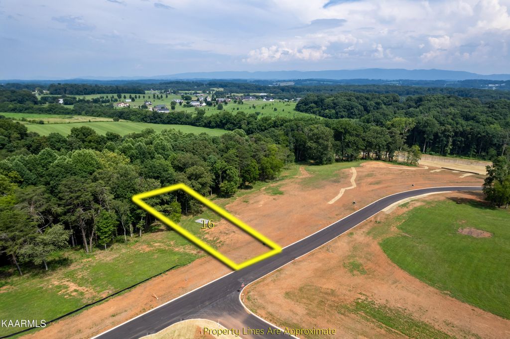 Photo of 16922 Sophie Drive, Greenback, TN 37742 (MLS # 1235217)