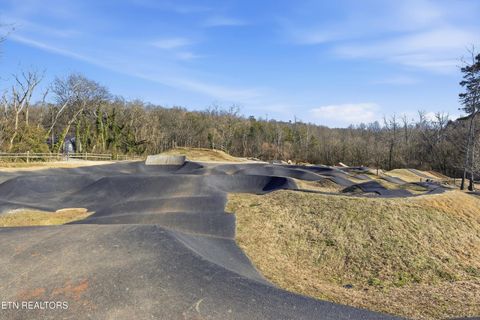 Tiny photo for 3615 Sevier Heights Rd, Knoxville, TN 37920 (MLS # 1332655)