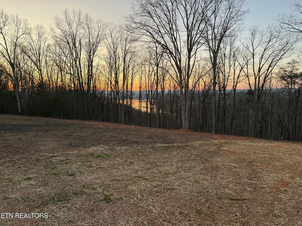 Photo of 240 River Rd, Kingston, TN 37763 (MLS # 1293029)