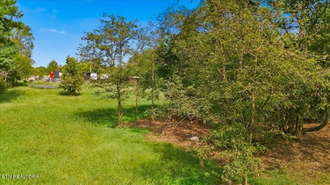 Tiny photo for 246 Midway Circle, Midway, TN 37809 (MLS # 1355514)
