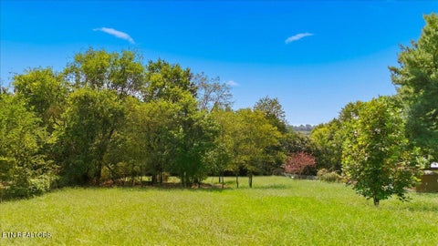 Tiny photo for 246 Midway Circle, Midway, TN 37809 (MLS # 1355514)