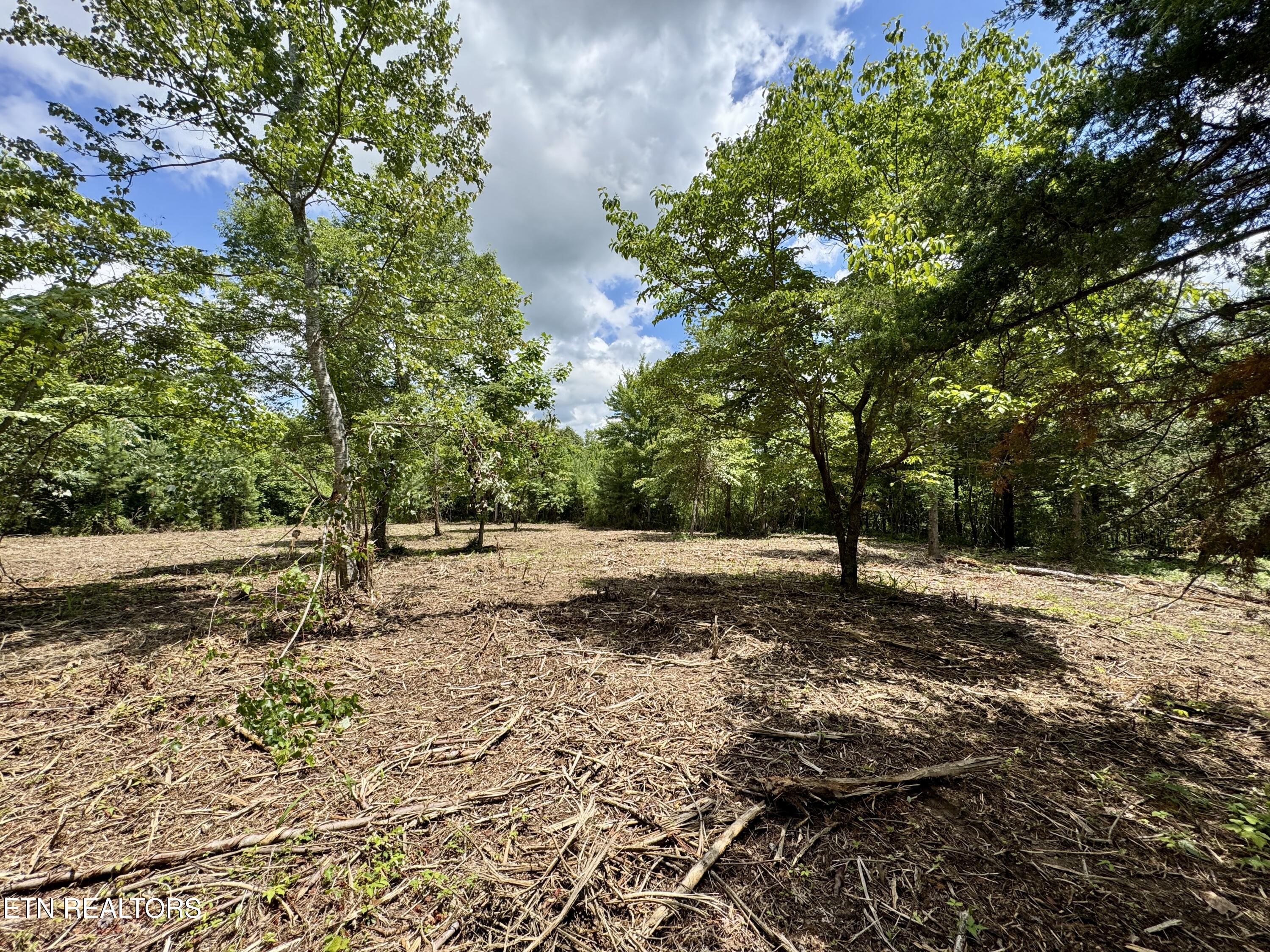 3405 Foshee Rd
