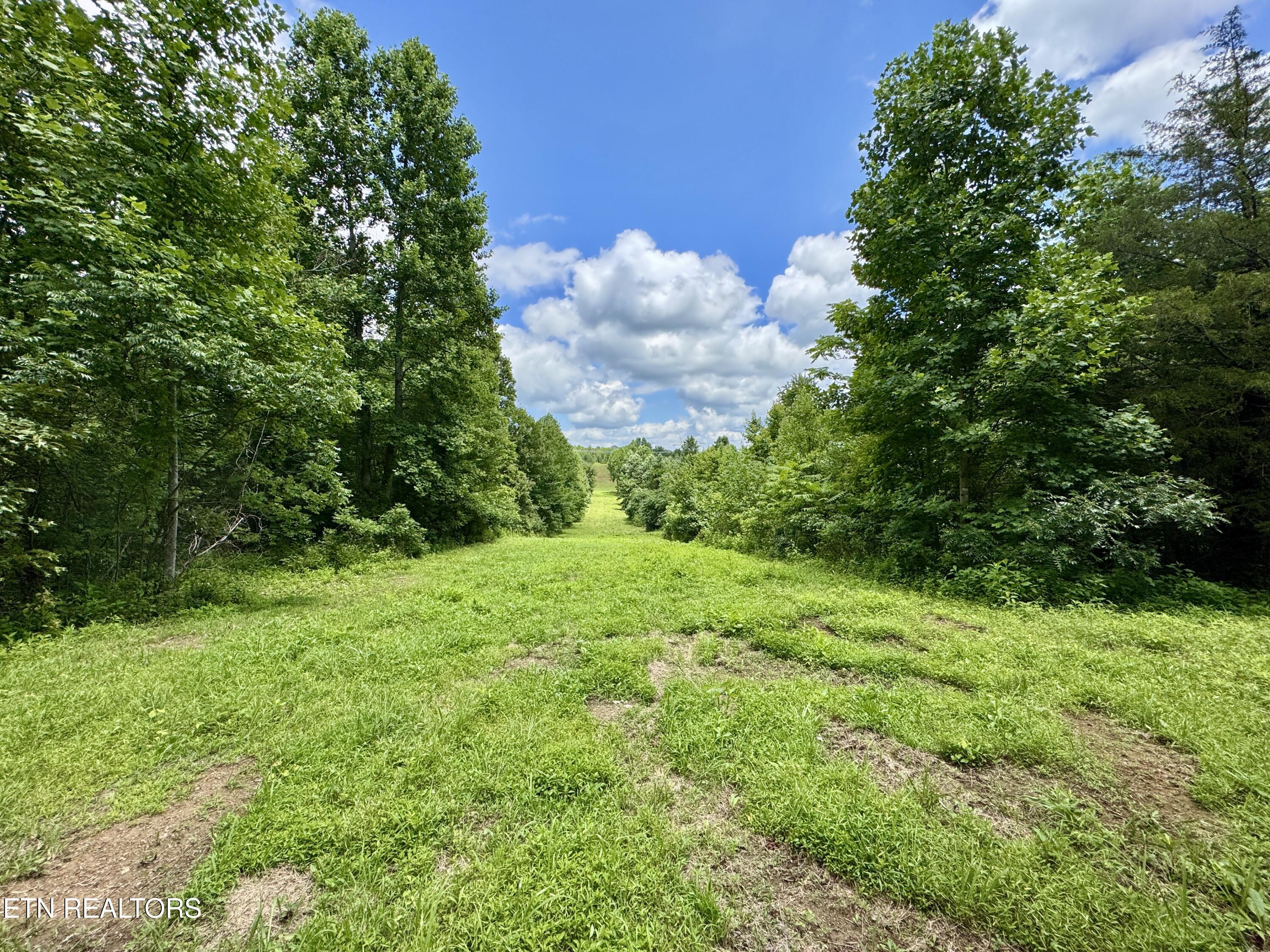 3405 Foshee Rd