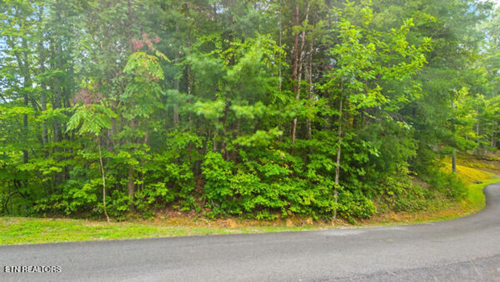 Photo of 25 Mountain Rest Way, Sevierville, TN 37876 (MLS # 1311967)