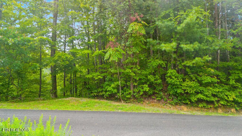 Photo of 25 Mountain Rest Way, Sevierville, TN 37876 (MLS # 1311967)