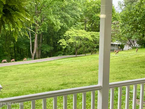 Tiny photo for 8452 Carr Lane, Knoxville, TN 37938 (MLS # 1350149)
